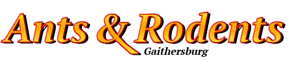 Gaithersburg Ant Exterminator & Rodent Control Company Logo